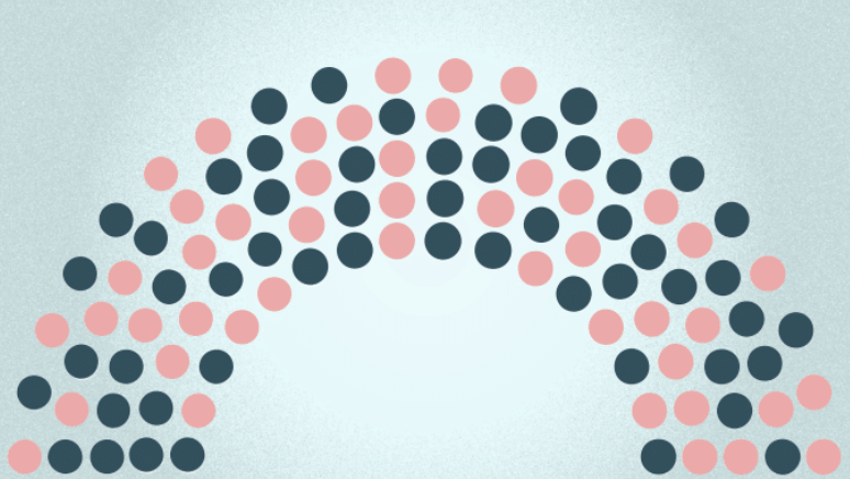 Navy and pink circles arranged in a half-circle to represent bipartisan seats in Congress